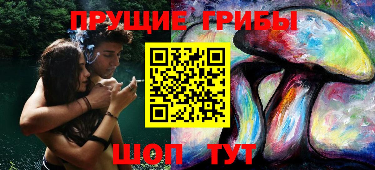 Галлюциногенные грибы прущие грибы  Вход с VPN  Минусинск 